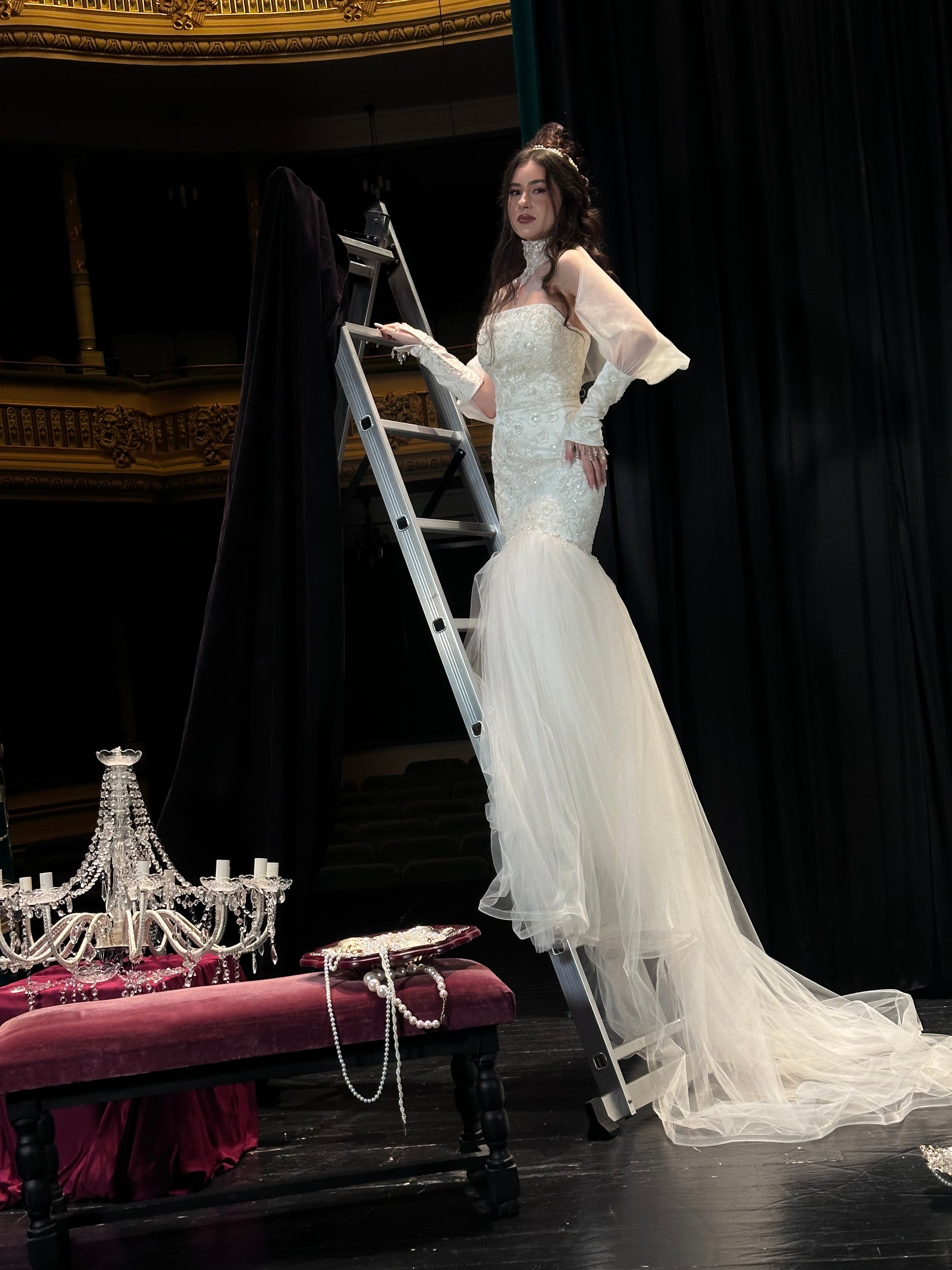 Spectacular Manually Embroidered Bridal Gown with Long Train & Choker Detail